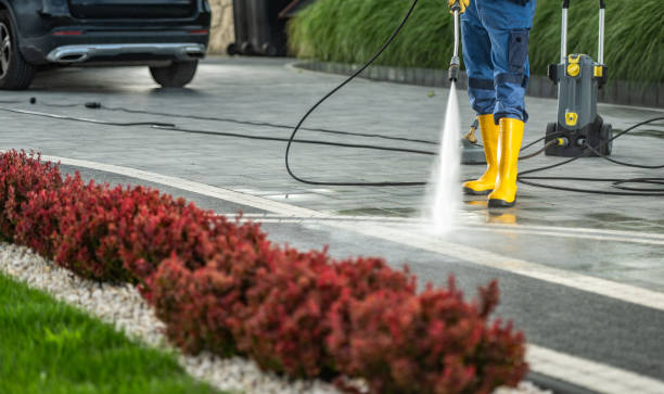 Best Residential Pressure Washing in Shell Valley, ND